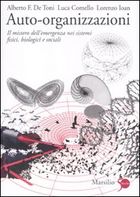 auto-organizzazioni2